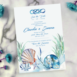 Partecipazione Shells